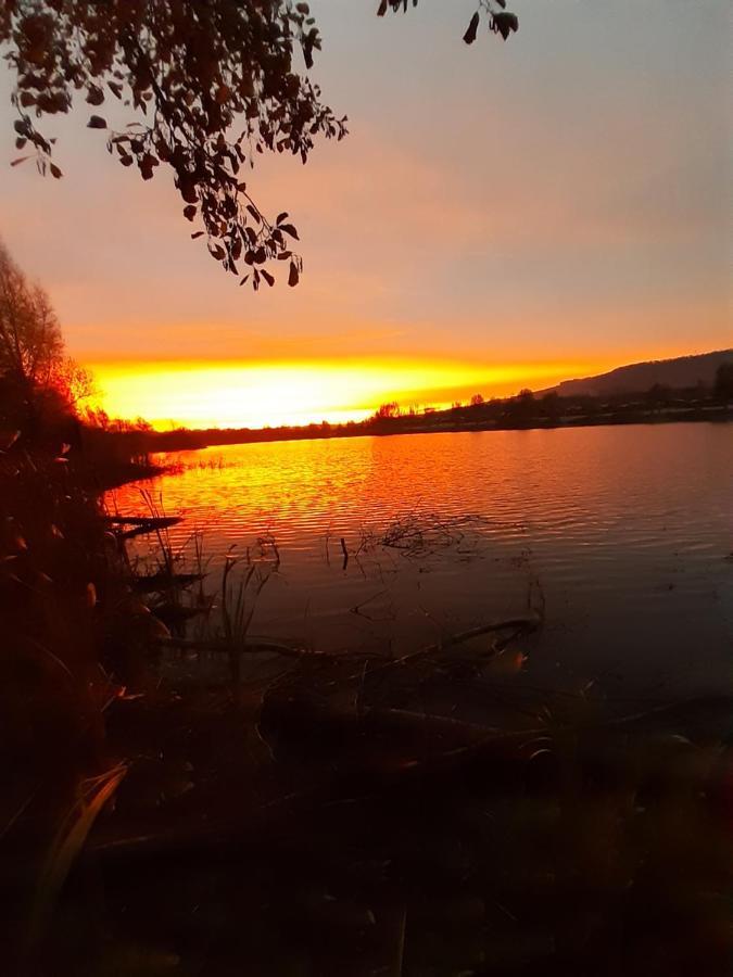 Ferienhaus Am Weserberglandsee Lauenforde Zewnętrze zdjęcie